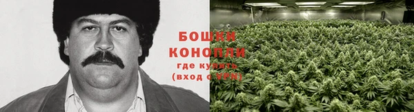 COCAINE Михайловка