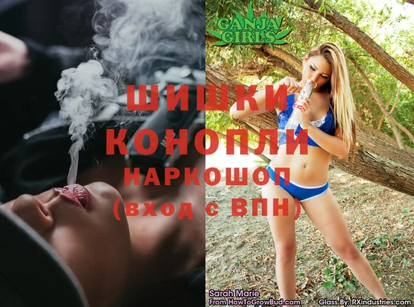 spice Михайлов