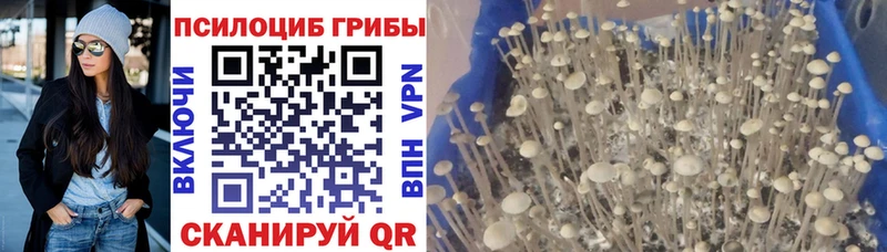 Галлюциногенные грибы мицелий shop клад Ува
